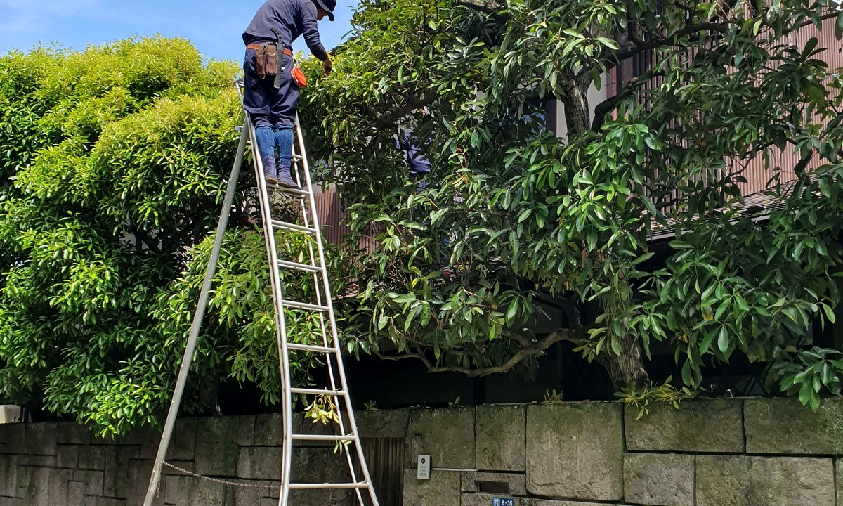 草刈りと剪定後の外まわり